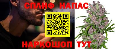 ГАЛЛЮЦИНОГЕННЫЕ ГРИБЫ Обь