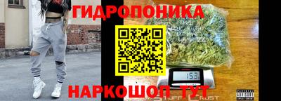 ГАЛЛЮЦИНОГЕННЫЕ ГРИБЫ Обь