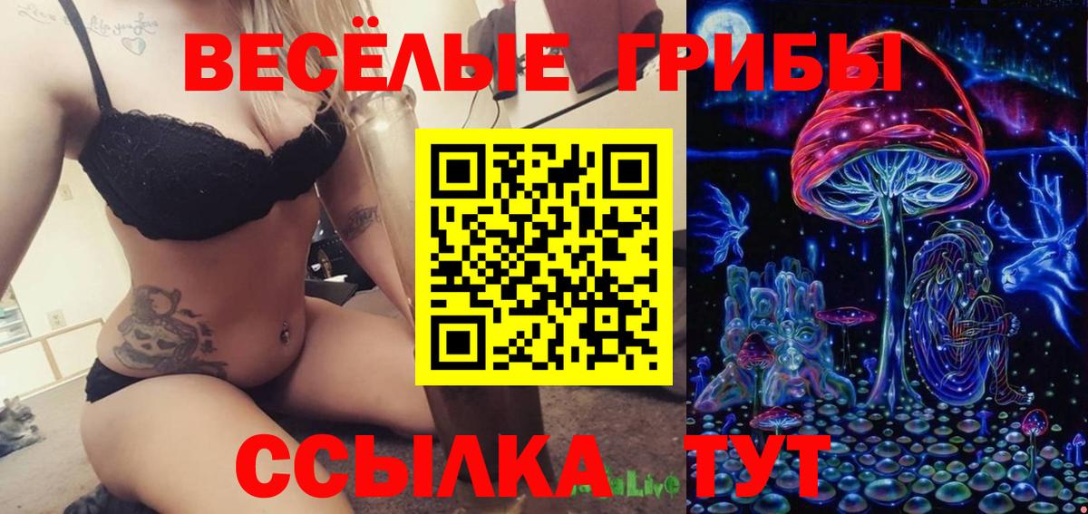 Псилоцибиновые грибы Psilocybe  Вход с VPN  Псилоцибиновые грибы Psilocybine cubensis  хочу наркоту  Сертолово 